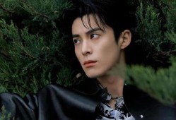 圈内爆料王鹤棣,揭秘娱乐圈新晋小生的崛起之路