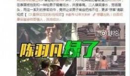 曾丽玲诈骗爆料视频播放,揭秘网络诈骗背后的惊人真相