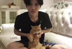 爆料鹿晗婚房视频,奢华装修引网友热议