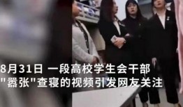平顶山网红爆料事件视频,揭秘背后真相与网络舆论风暴