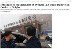 新冠医生爆料新闻报道稿,勇敢发声，揭示病毒背后的残酷现实