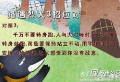 由来在线观看,追溯“由来在线观看”的起源与发展历程