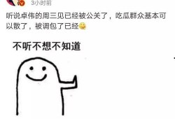 卓伟最新爆料李小璐视频,李小璐视频事件真相揭晓