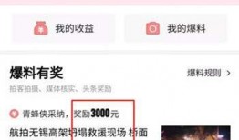 今日头条如何爆料视频,一键上报，见证真相的力量