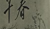 早春在线观看,在线观看，感受春天的温暖与希望