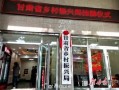 乡5全集在线观看免费,探寻乡村风情，重温美好时光